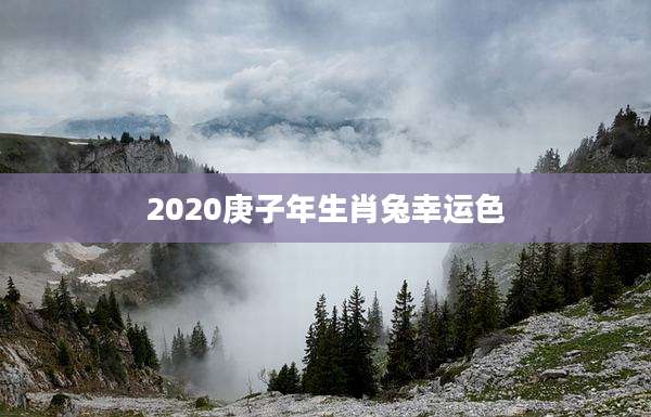 2020庚子年生肖兔幸运色
