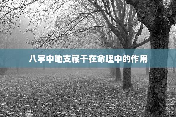 八字中地支藏干在命理中的作用
