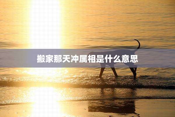 搬家那天冲属相是什么意思