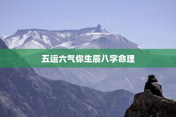 五运六气你生辰八字命理