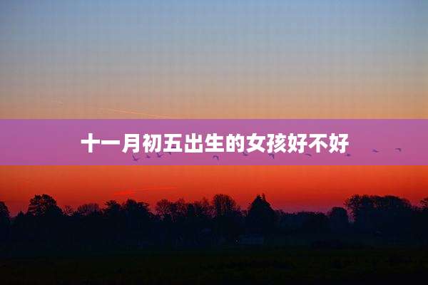 十一月初五出生的女孩好不好