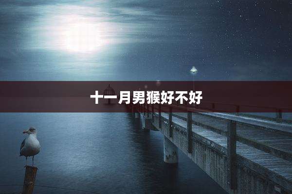 十一月男猴好不好