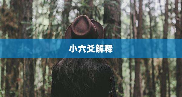 小六爻解释