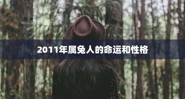 2011年属兔人的命运和性格