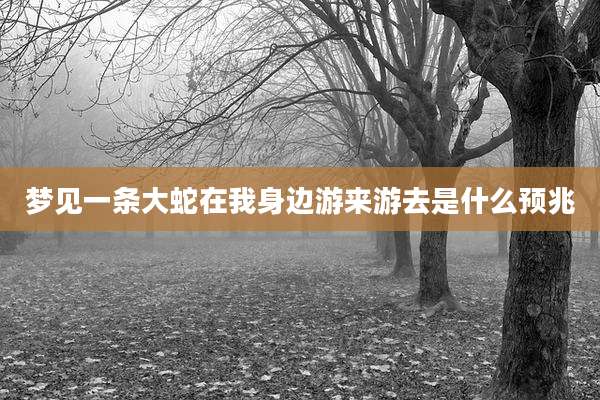 梦见一条大蛇在我身边游来游去是什么预兆