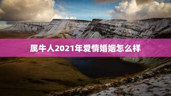 属牛人2021年爱情婚姻怎么样
