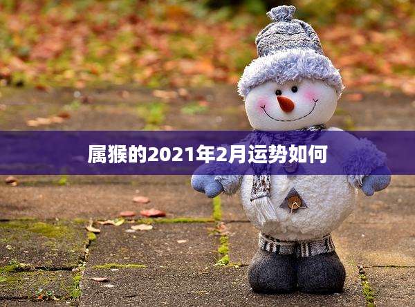 属猴的2021年2月运势如何