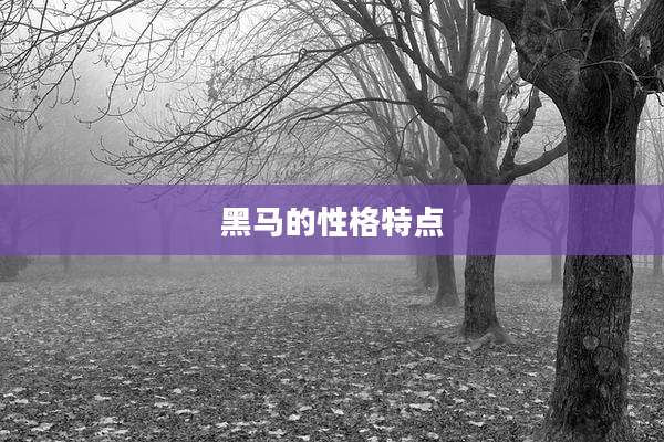 黑马的性格特点