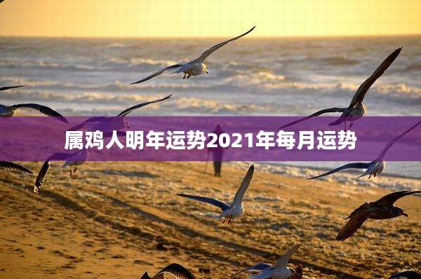 属鸡人明年运势2021年每月运势