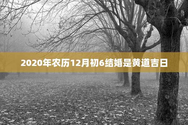 2020年农历12月初6结婚是黄道吉日