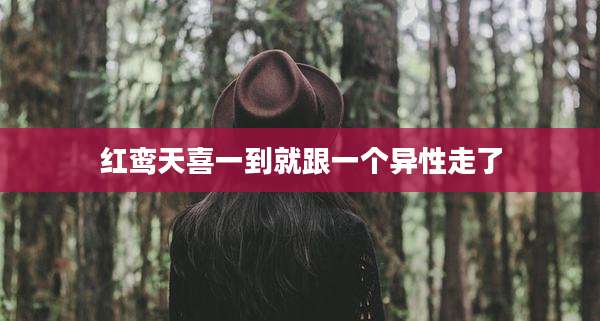 红鸾天喜一到就跟一个异性走了