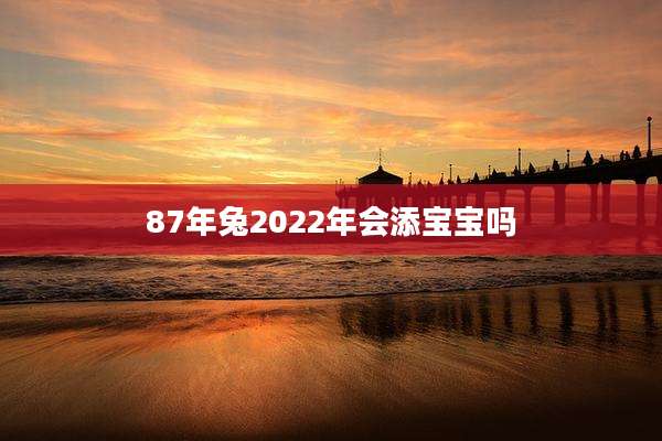 87年兔2022年会添宝宝吗