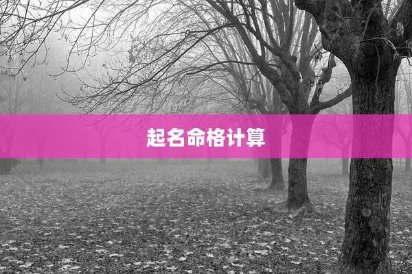 起名命格计算