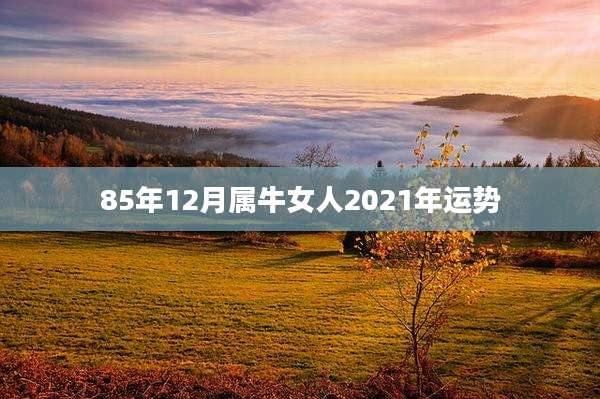 85年12月属牛女人2021年运势