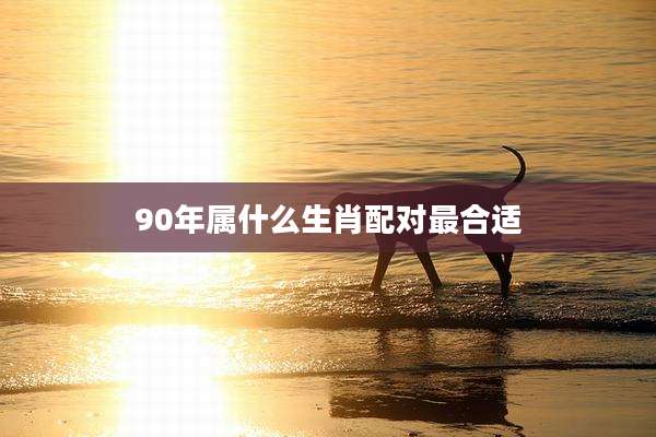90年属什么生肖配对最合适