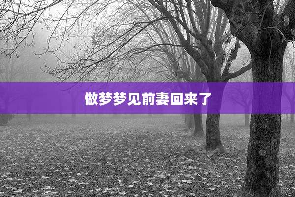 做梦梦见前妻回来了