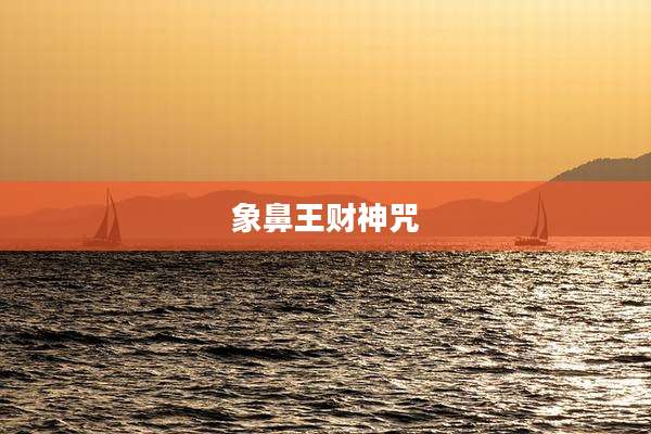 象鼻王财神咒