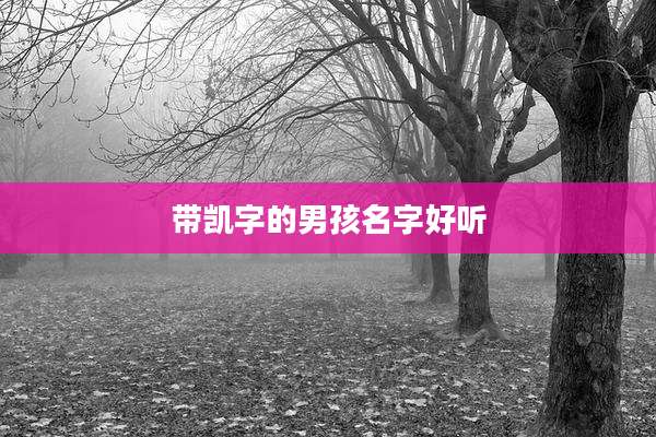 带凯字的男孩名字好听