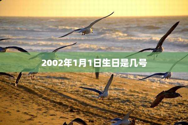 2002年1月1日生日是几号