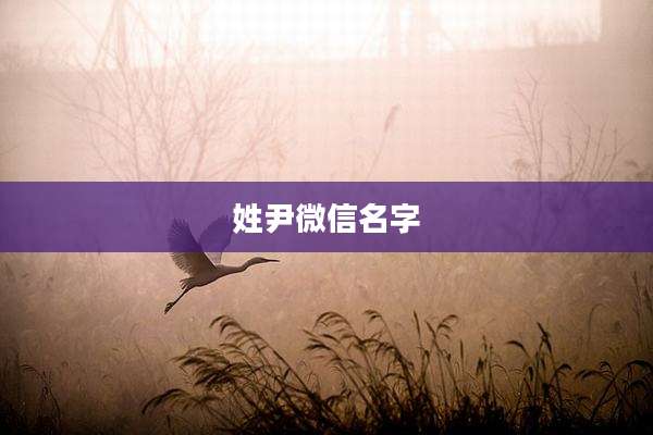 姓尹微信名字