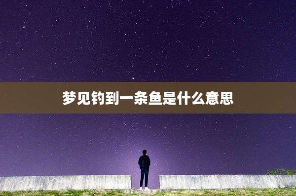 梦见钓到一条鱼是什么意思