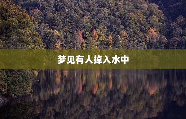 梦见有人掉入水中
