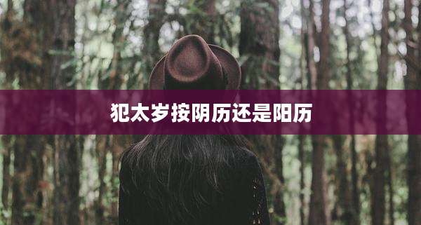 犯太岁按阴历还是阳历
