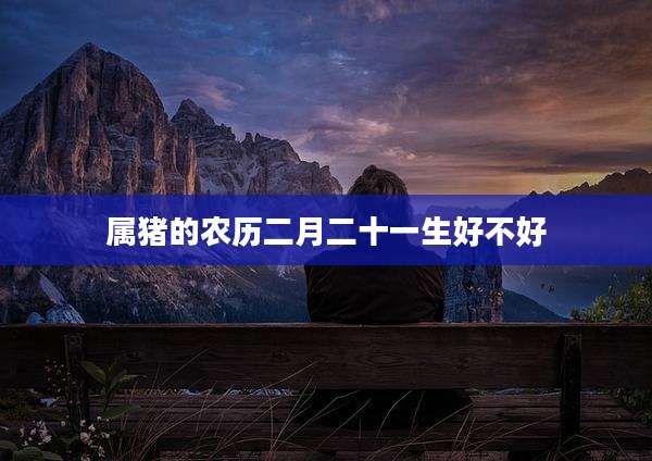 属猪的农历二月二十一生好不好