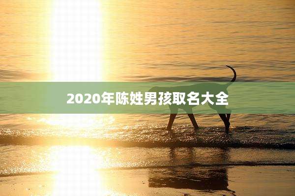 2020年陈姓男孩取名大全