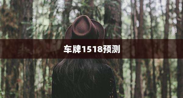 车牌1518预测