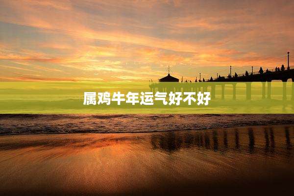 属鸡牛年运气好不好