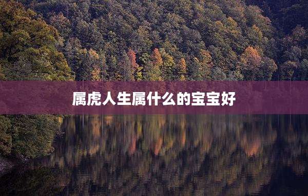 属虎人生属什么的宝宝好