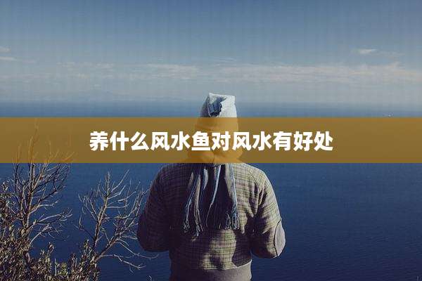 养什么风水鱼对风水有好处