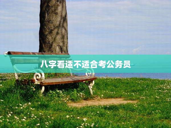 八字看适不适合考公务员