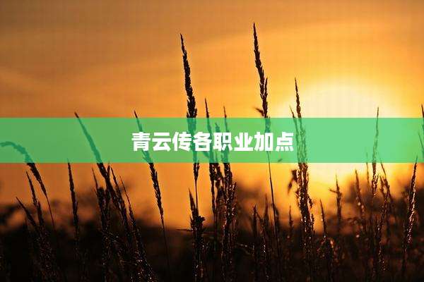 青云传各职业加点