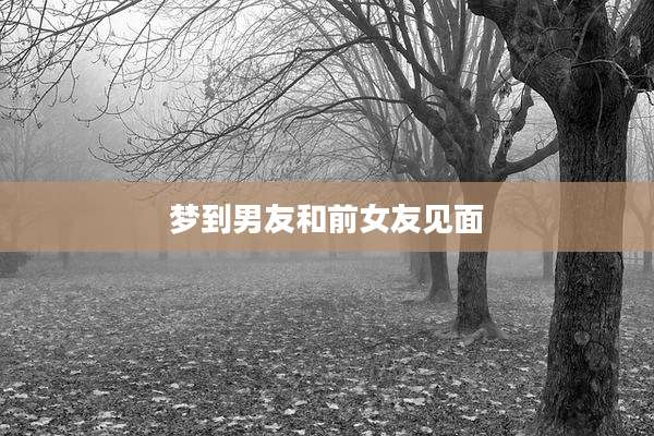 梦到男友和前女友见面