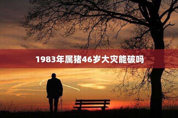 1983年属猪46岁大灾能破吗