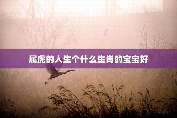 属虎的人生个什么生肖的宝宝好