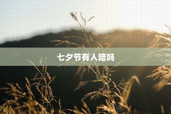 七夕节有人陪吗