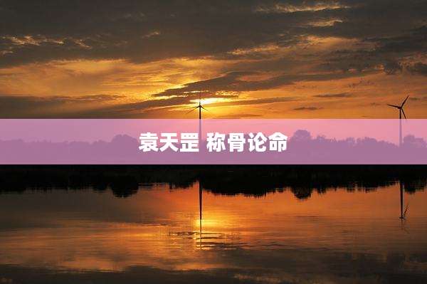 袁天罡 称骨论命