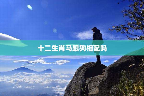十二生肖马跟狗相配吗