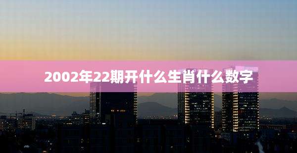 2002年22期开什么生肖什么数字