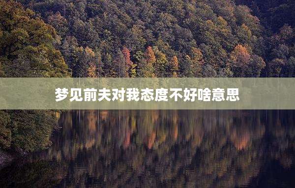 梦见前夫对我态度不好啥意思