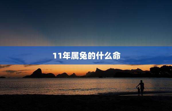 11年属兔的什么命