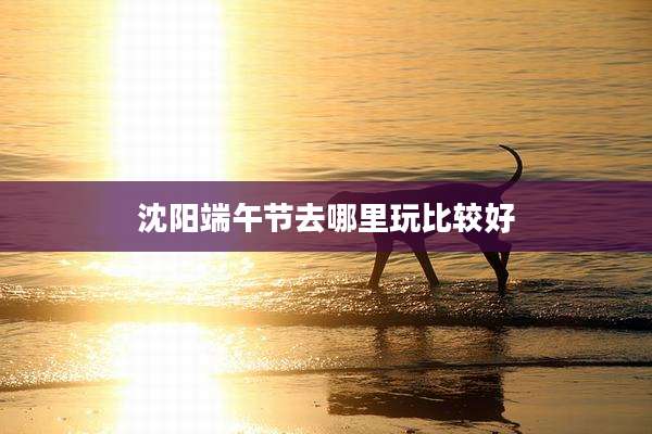 沈阳端午节去哪里玩比较好