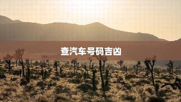 查汽车号码吉凶