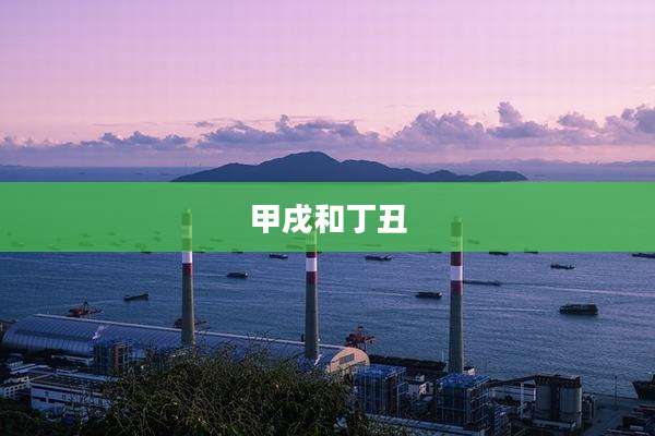 甲戌和丁丑