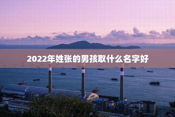 2022年姓张的男孩取什么名字好