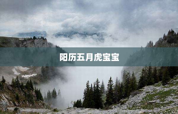 阳历五月虎宝宝