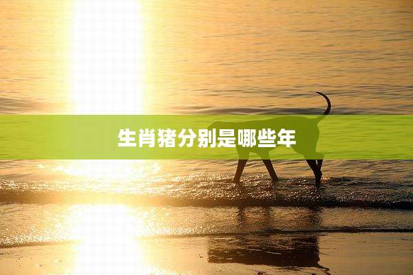 生肖猪分别是哪些年